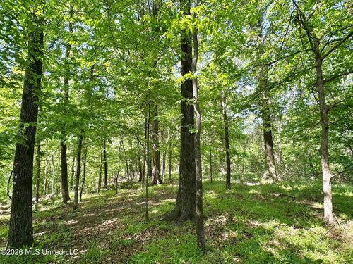 0 County Road 186, Carrollton, MS, 38917 | Card Image