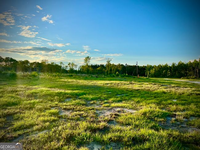1305 Bennett Colter Rd, Home with 0 bedrooms, 0 bathrooms and null parking in Cadwell GA | Image 17