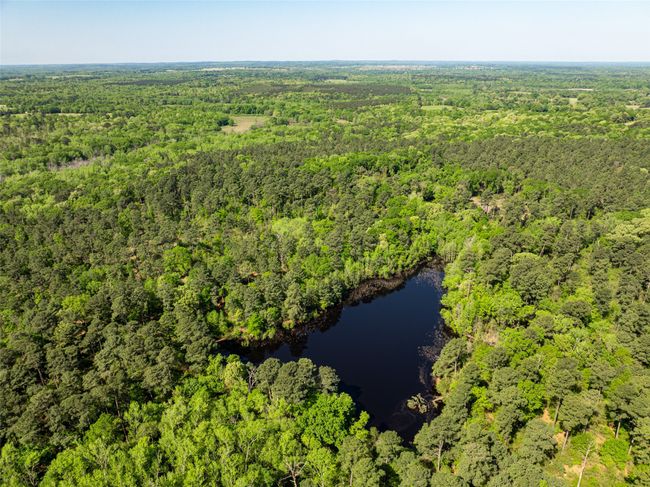 1 County Rd, Home with 0 bedrooms, 0 bathrooms and null parking in Leesburg TX | Image 6