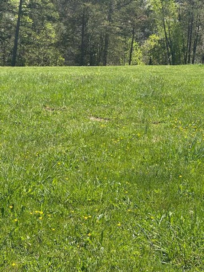 104 Shoreline Vis, Home with 0 bedrooms, 0 bathrooms and null parking in Morristown TN | Image 6