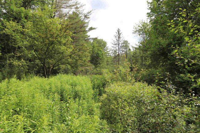 5298 Westminster West Rd, House other with 2 bedrooms, 2 bathrooms and null parking in Putney VT | Image 28