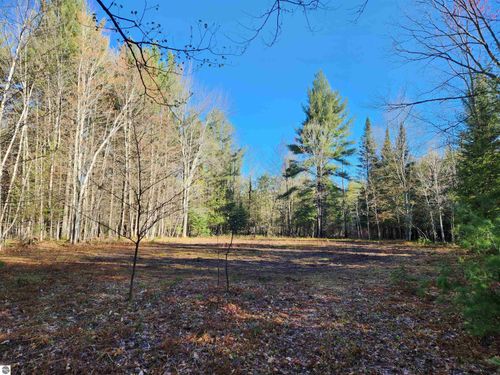 00 Adams Road, Kalkaska, MI, 49646 | Card Image