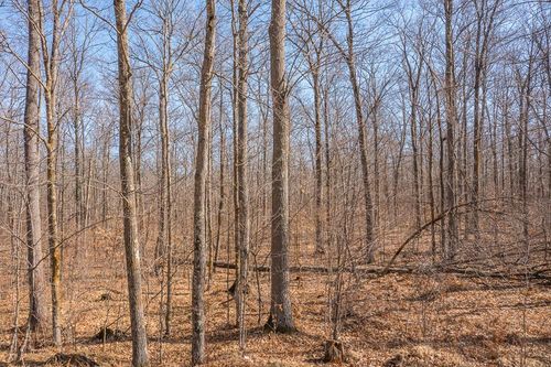 TBD 250th Place, Isle, MN, 56342 | Card Image