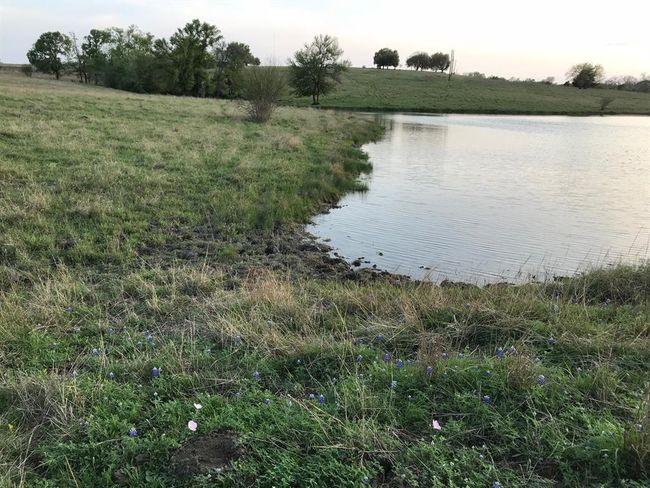 5796 Hurtig Rd, Home with 0 bedrooms, 0 bathrooms and null parking in Bleiblerville TX | Image 15