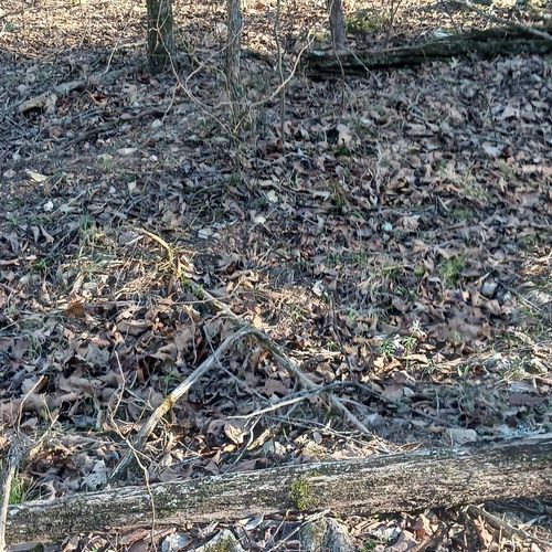 000 Brentwood Dr, Theodosia, MO, 65761 | Card Image