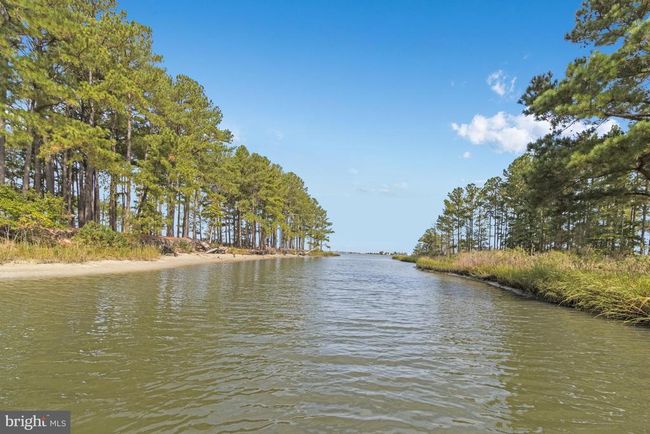 31898 Wharf Ln, House other with 4 bedrooms, 4 bathrooms and null parking in OCEAN VIEW DE | Image 81