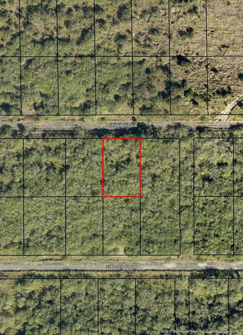 1574 Petunia St Sw, PALM BAY, FL, 32908 | Card Image