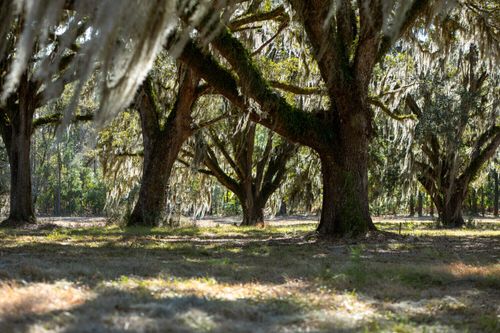 5 Mauricena Road, Georgetown, SC, 29440 | Card Image