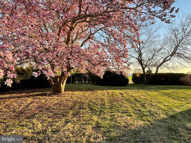 2494 Simonson Rd, House other with 4 bedrooms, 3 bathrooms and null parking in Farnham VA | Image 114