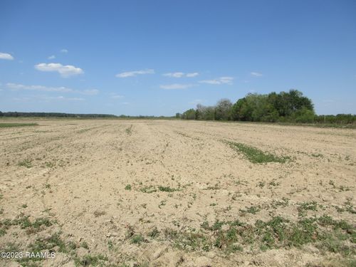 Tbd Ronald Rd, Basile, LA, 70515 | Card Image