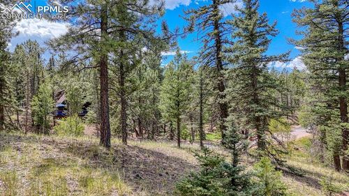 18 Falcon Cir, Florissant, CO, 80816 | Card Image