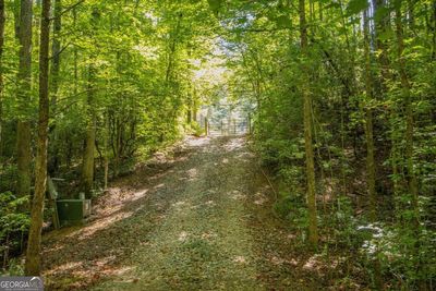 LOT-46 - 0 Nimblewill Creek Road, Home with 0 bedrooms, 0 bathrooms and null parking in Dahlonega GA | Image 3