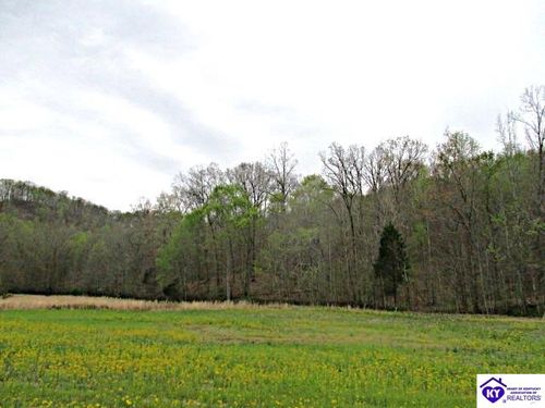 Lot 38 Sulphur Lick Rd, New Hope, KY, 40052 | Card Image