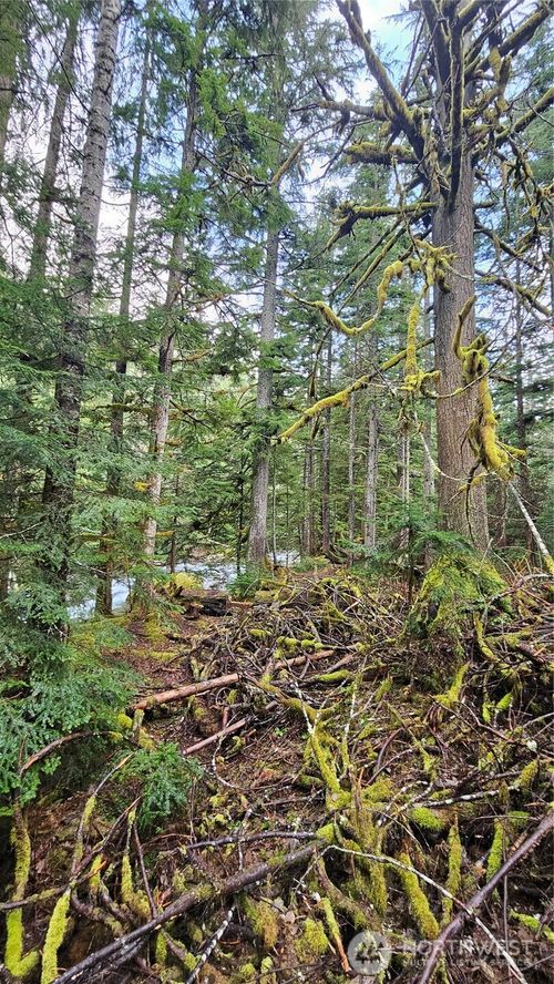 87020 Ne 122nd St, Skykomish, WA, 98288 | Card Image