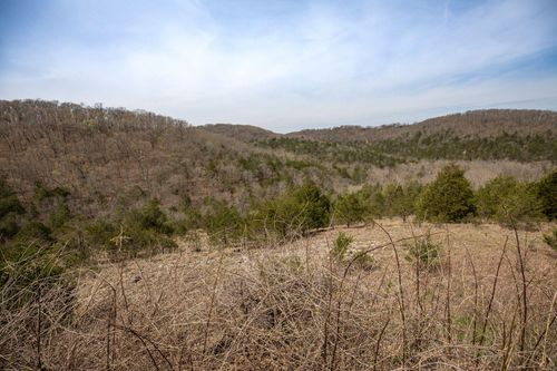Lot 8 Silver Oak Ln, Reeds Spring, MO, 65737 | Card Image