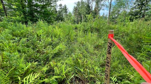 1416 Clif Reynolds Rd, Jeffersonville, VT, 05464 | Card Image