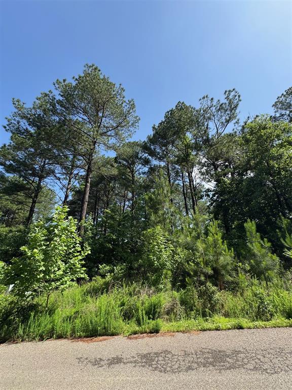 Land in Broken Bow 5
