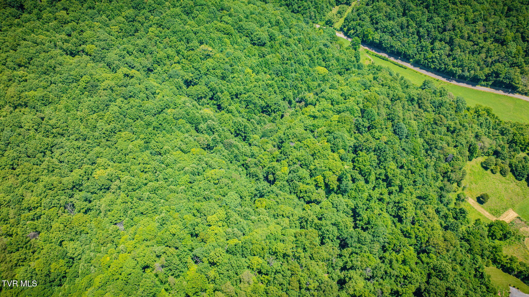 Land in Rogersville 4