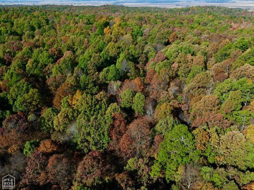 1 000 Greene 125 Road, Beech Grove, AR, 72450 | Card Image