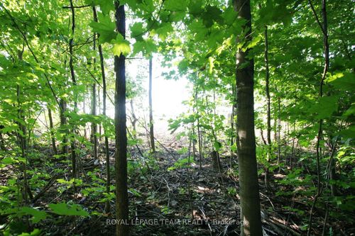 PtLt31 Pleasant Valley Rd, South Mountain, ON, K0E1W0 | Card Image