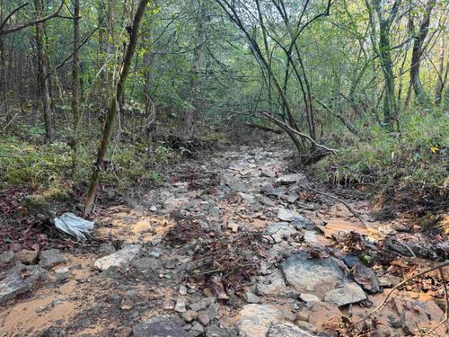 00 Long Branch Ln, Bee Branch, AR, 72013 | Card Image