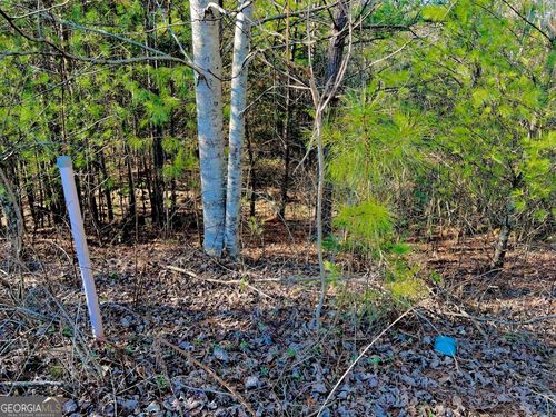 Lot 14 Valley Ct, East Ellijay, GA, 30540-6927 | Card Image