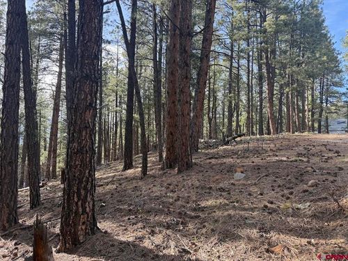 217 Pine Top Dr, Bayfield, CO, 81122-9277 | Card Image