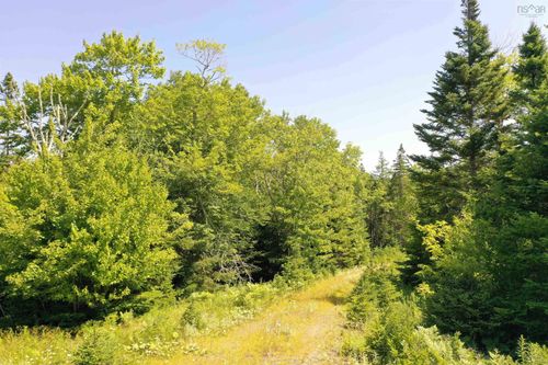 Lot 1A-24 Maple Dr, Saint Peters, NS, B0E3B0 | Card Image