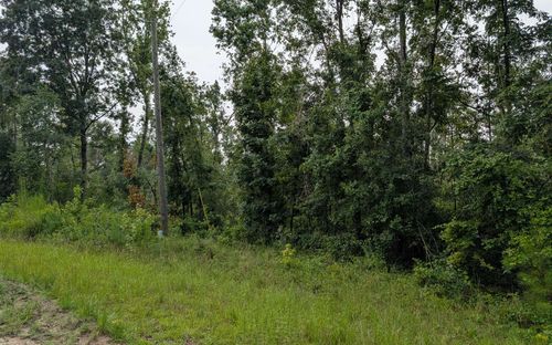 TBD1 Nw Pin Oak Ln, JENNINGS, FL, 32053 | Card Image