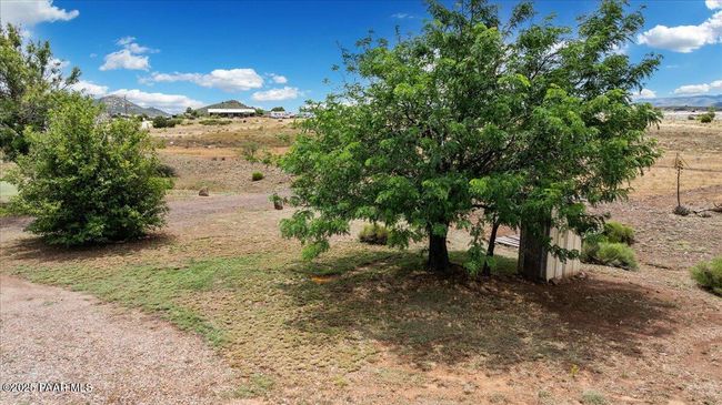20-Backyard | Image 22