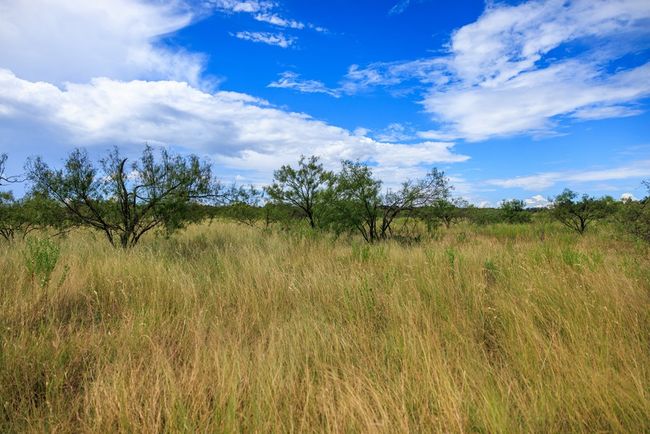 6 - 0 Ranch Road 1323, Home with 0 bedrooms, 0 bathrooms and null parking in Willow City TX | Image 13