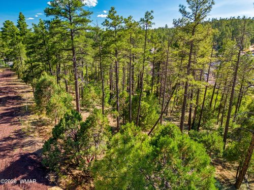 TBD W Ellsworth Rd, Show Low, AZ, 85901 | Card Image