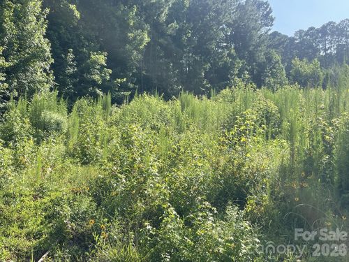 0 Ski Pond Rd, New London, NC, 28127 | Card Image