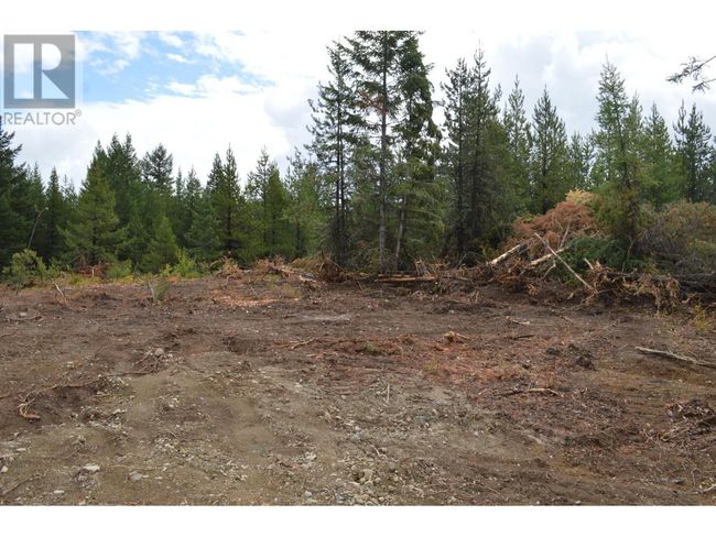 Lot 2 3 Rd St, Home with 0 bedrooms, 0 bathrooms and null parking in Kootenay Boundary BC | Image 12
