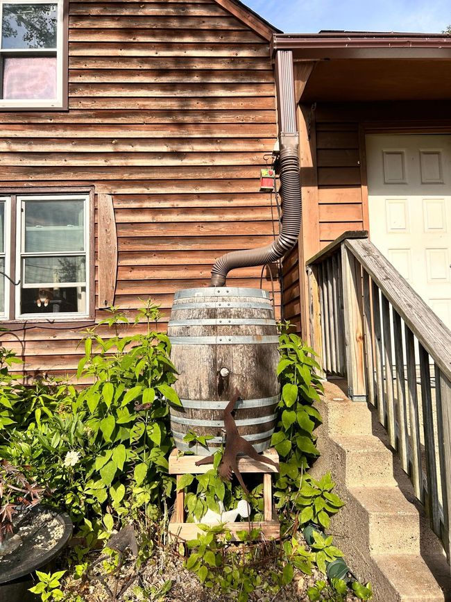 Rain water barrel system for eco-conscious gardening | Image 5