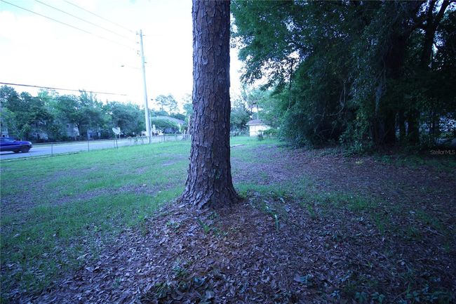 BACKYARD | Image 12
