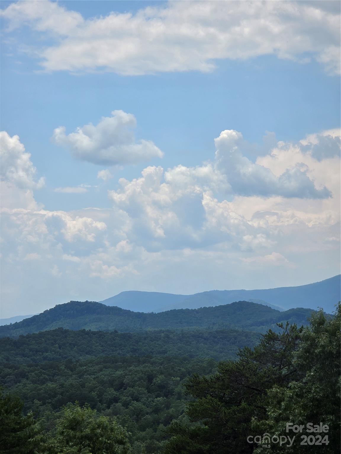 Residential in Lake Lure 5