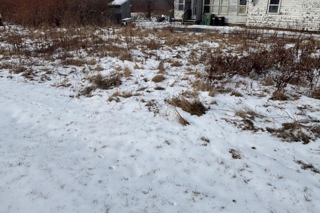 94 Highway 242, Home with 0 bedrooms, 0 bathrooms and null parking in Joggins NS | Image 5