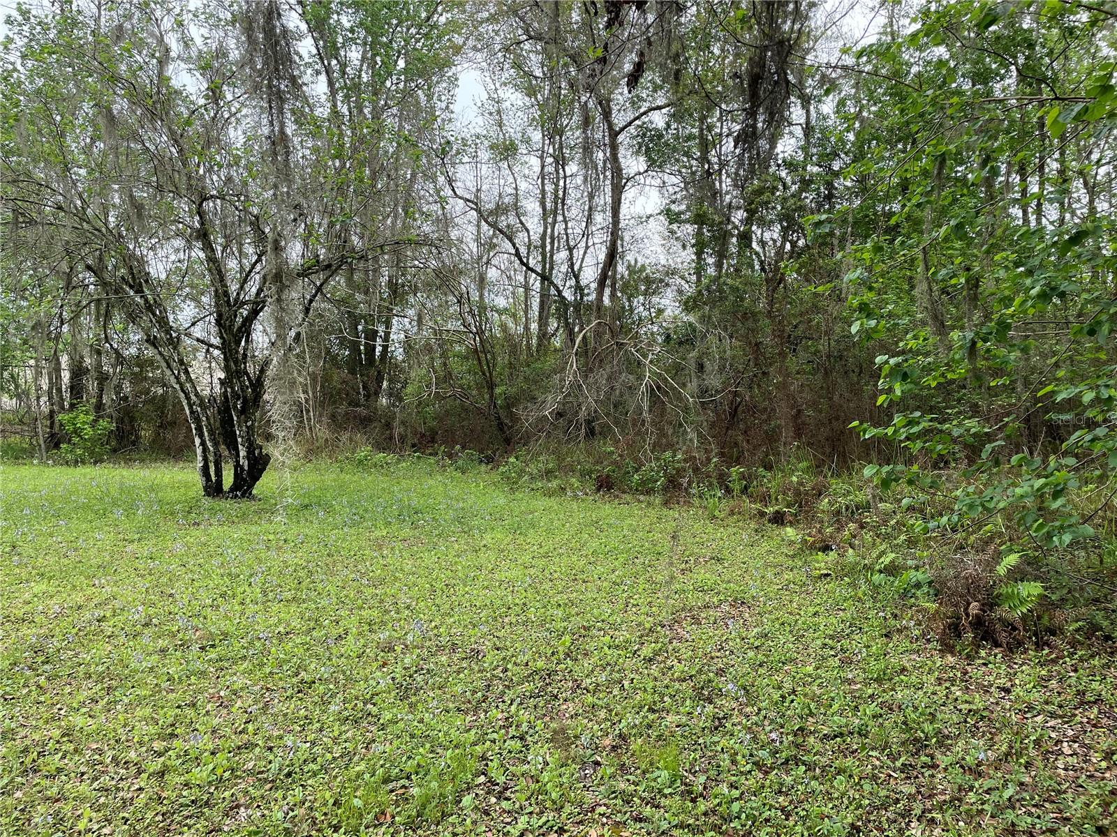 Land in BROOKSVILLE 3