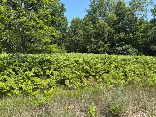 VL S Riverview, Lake Township, MI, 49651 | Card Image