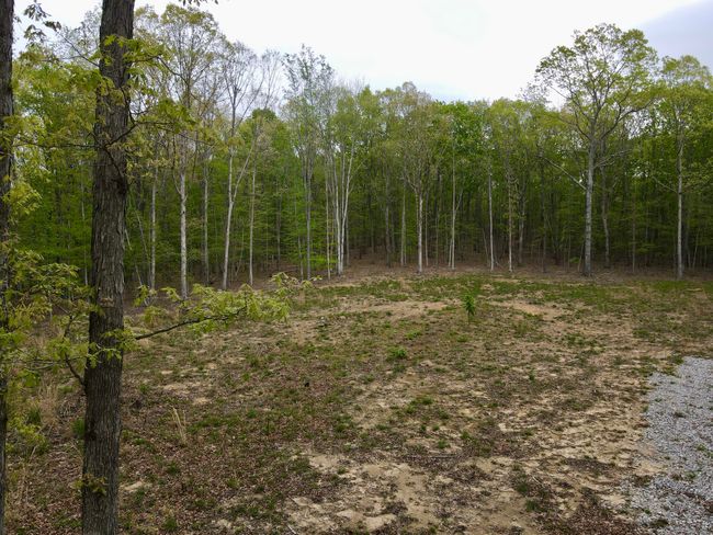 0 Deerwood Dr, Home with 0 bedrooms, 0 bathrooms and null parking in Sewanee TN | Image 16
