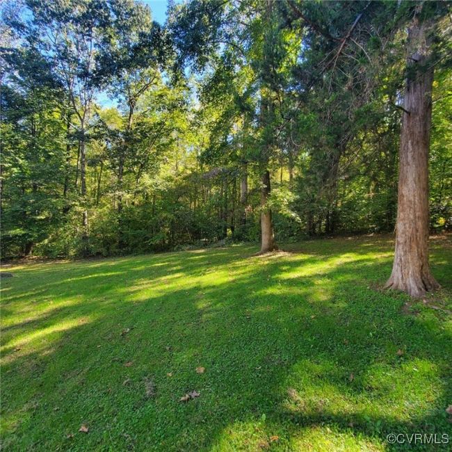 View of yard | Image 8