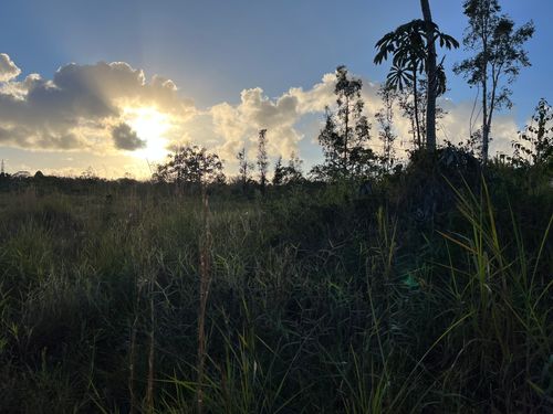 16-1272 Koloa Maoli Rd, MOUNTAIN VIEW, HI, 96771 | Card Image