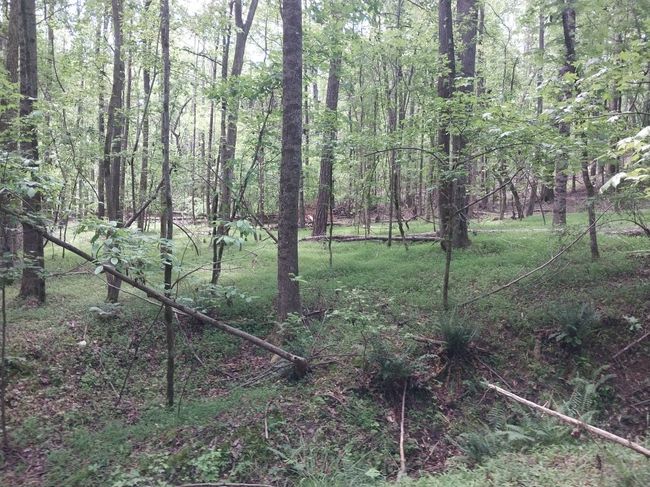 846 Latimer Mill Rd, Home with 0 bedrooms, 0 bathrooms and null parking in Honea Path SC | Image 13