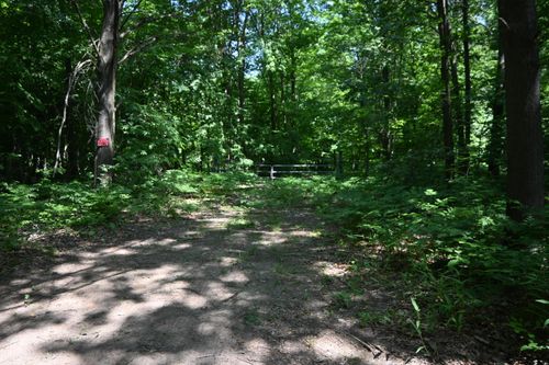 V/L Jensen Road, Fruitport, MI, 49415 | Card Image