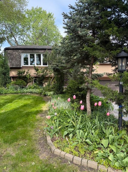 248 Spruce Ave, Bensenville, IL, 60106-1744 | Card Image