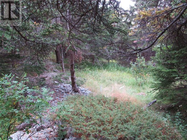 C - 54 C Point Rd, Home with 0 bedrooms, 0 bathrooms and null parking in Chapel Cove NL | Image 8