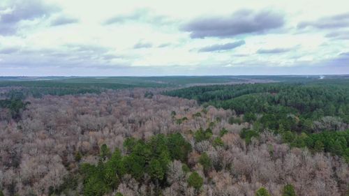 0000 County Road 1619, Linden, TX, 75563 | Card Image