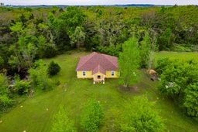 Bird's eye view with a forest view | Image 8
