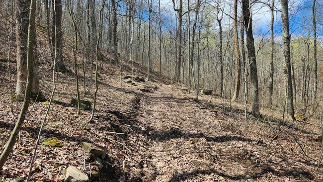 TRACT-1-PIKE-LAKE-GETAWA - 0 Pike Lake Rd, Home with 0 bedrooms, 0 bathrooms and null parking in Bainbridge OH | Image 41